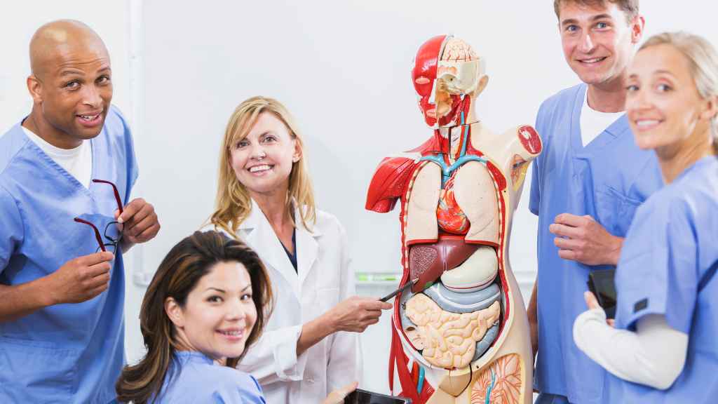 Where Do Medical Schools Get Cadavers